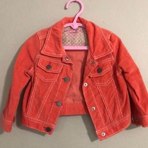 Corduroy Toddler Girl Jacket